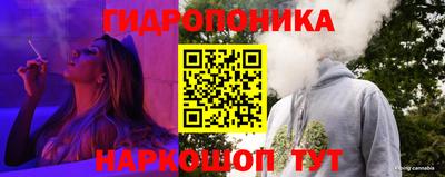 СК Балаково