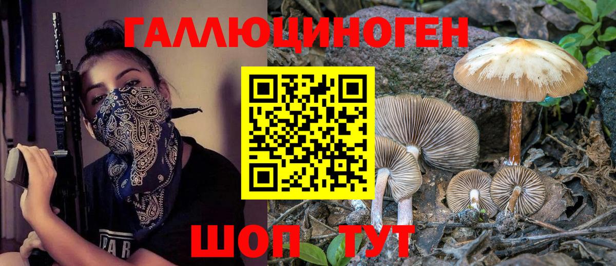 Псилоцибиновые грибы Magic Shrooms Владимир
