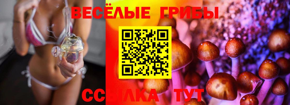 Псилоцибиновые грибы Magic Shrooms  Галлюциногенные грибы MAGIC MUSHROOMS  Вход с VPN  Владимир 